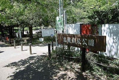 公園　岩槻城址公園（公園）まで600m