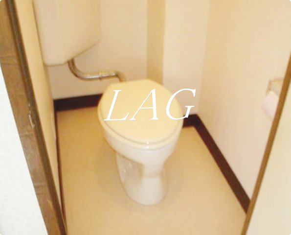 トイレ　トイレです。