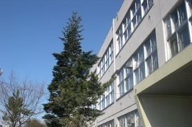 その他　明園小学校（その他）まで81m