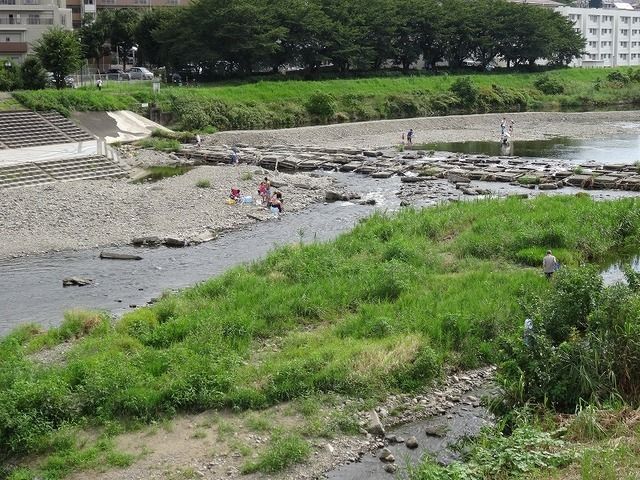 公園　河川敷公園（公園）まで2377m