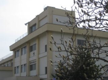 小学校　仙台市立桜丘小学校（小学校）まで318m