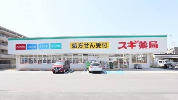 ドラックストア　スギ薬局南塚口店（ドラッグストア）まで258m