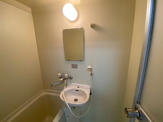 洗面設備　※別部屋の写真です