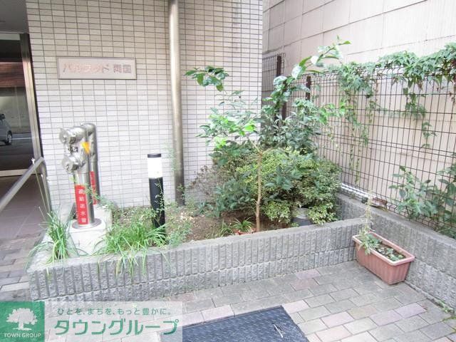 庭　植栽