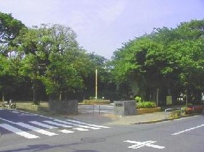 公園　小豆沢公園（公園）まで640m