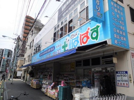 ドラックストア　どらっぐぱぱす根津店（ドラッグストア）まで320m