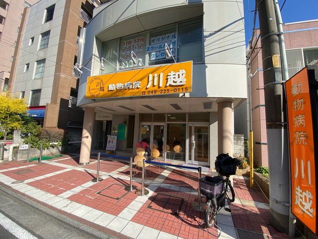 その他　動物病院川越（その他）まで208m
