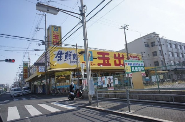 スーパー　スーパー玉出平野店（スーパー）まで695m