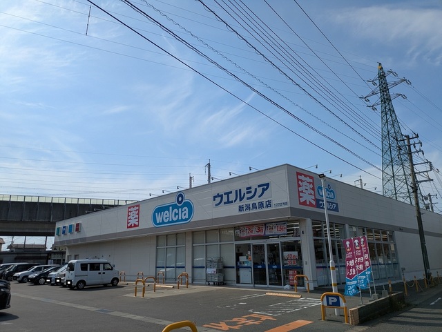 ドラックストア　ウエルシア新潟鳥原店（ドラッグストア）まで599m