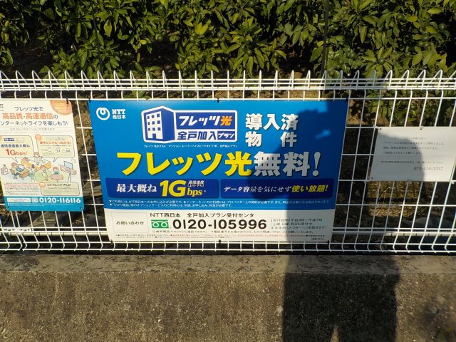 シエスタのその他写真