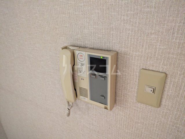 ヴァンキッシュのその他写真