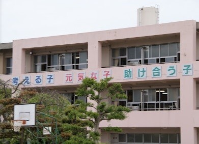 小学校　美浜町立河和小学校（小学校）まで893m