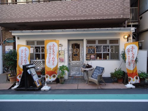 飲食店　フクロウカフェ　Cafe HOOTHOOT（飲食店）まで106m