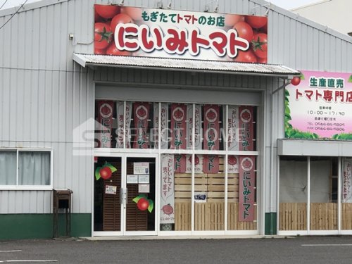 その他　にいみトマト（その他）まで35m