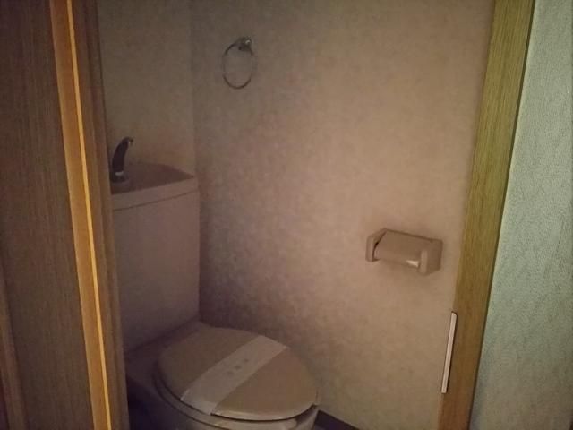 ＪＲ横浜線 古淵駅 徒歩3分 3階建 築29年のトイレ写真