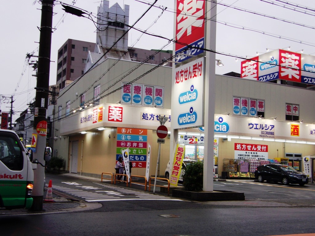 ツワブキ文化の周辺写真