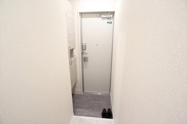 ＪＲ身延線 市川大門駅 徒歩47分 2階建 築4年の玄関写真