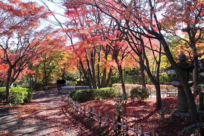公園　池田山公園（公園）まで289m