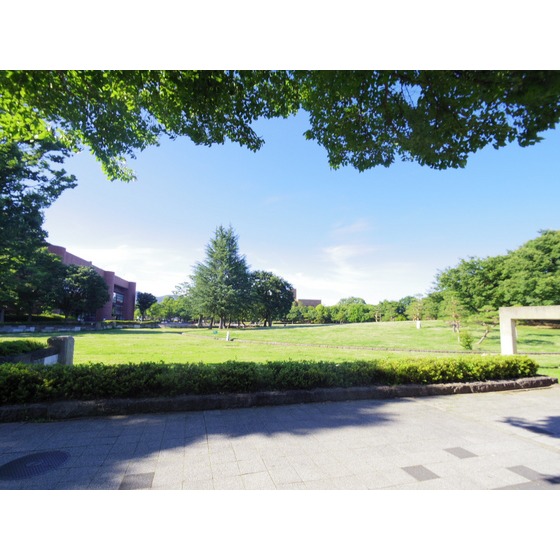 公園　若里公園（公園）まで1151m