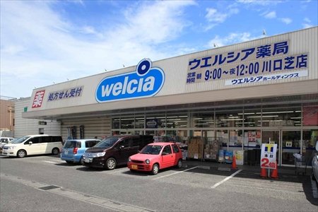 ドラックストア　ウエルシア川口芝店（ドラッグストア）まで750m