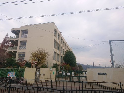 【八尾市曙川東のマンションの小学校】