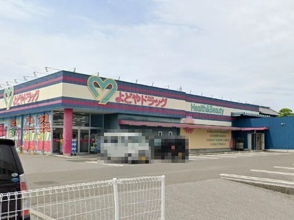 【Mハイツ (赤岡町)のドラックストア】