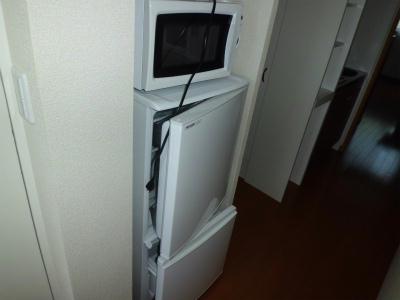 その他　冷蔵庫と電子レンジ。
