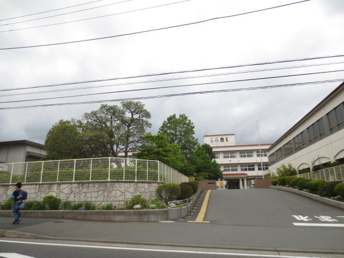 中学校　秦野市立本町中学校（中学校）まで323m