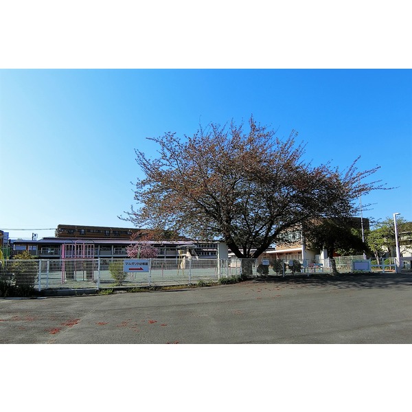 幼稚園・保育園　マルガリタ幼稚園（幼稚園・保育園）まで482m