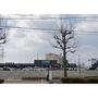 ホームセンター　カインズ仙台泉店（ホームセンター）まで1000m