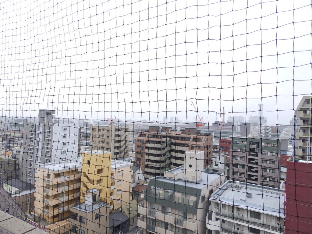 眺望　良好です