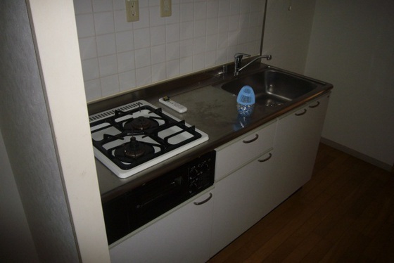 キッチン　他号室のお写真です