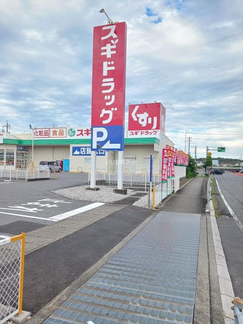 ドラックストア　スギドラッグ　大垣西店（ドラッグストア）まで1399m