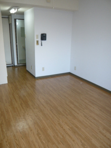 居室・リビング　他号室のお写真です