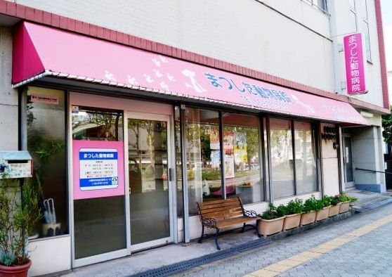 病院　まつした動物病院（病院）まで640m