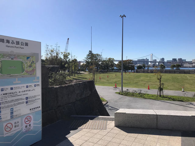 公園　晴海ふ頭公園（公園）まで354m