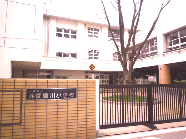 小学校　浅間竪川小学校（小学校）まで404m