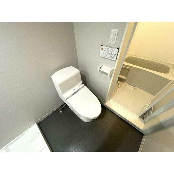 トイレ　トイレも気になるポイント