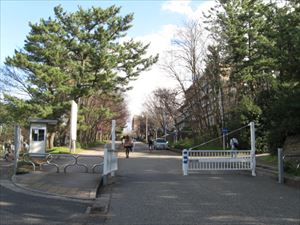 大学・短大　国立新潟大学（大学・短大）まで240m