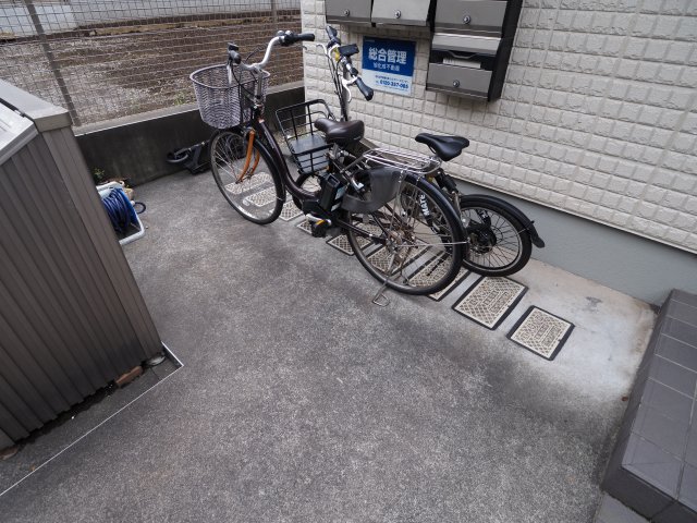 その他　シェモア