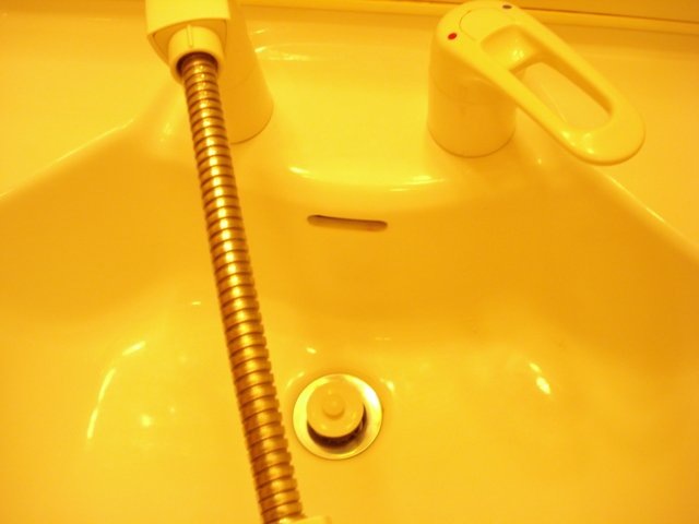 その他　シャンプードレッサー