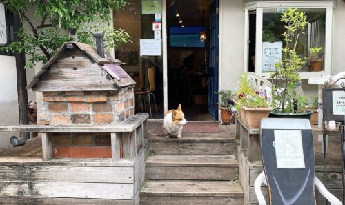 飲食店　ちから亭（飲食店）まで505m