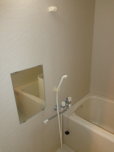 バス・シャワールーム　浴室　※2015年11月撮影