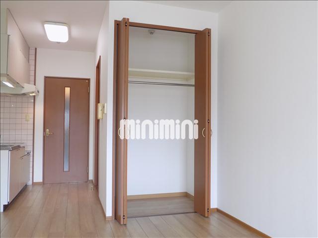 収納　クローゼットタイプの収納です