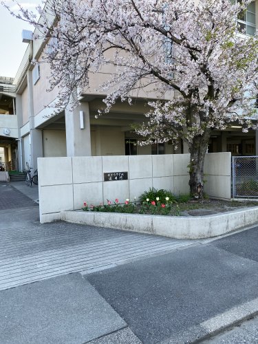 中学校　名古屋市立はとり中学校（中学校）まで373m