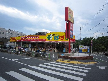 ドラックストア　どらっぐぱぱす 板橋徳丸店（ドラッグストア）まで388m