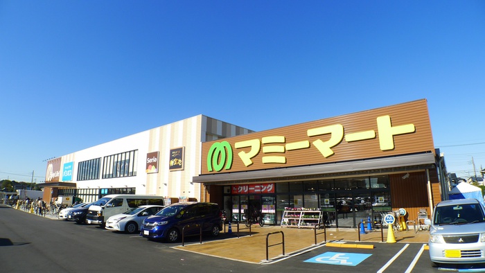 スーパー　マミーマート（スーパー）まで720m