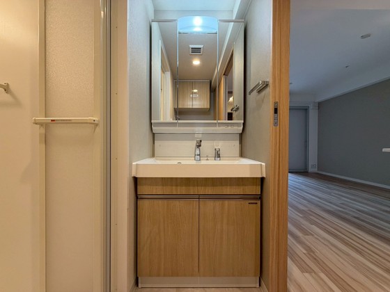 洗面設備　※別部屋の写真です