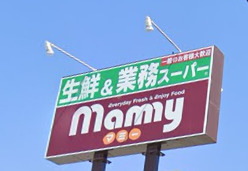 スーパー　生鮮&業務スーパーマミー二枚橋店（スーパー）まで736m