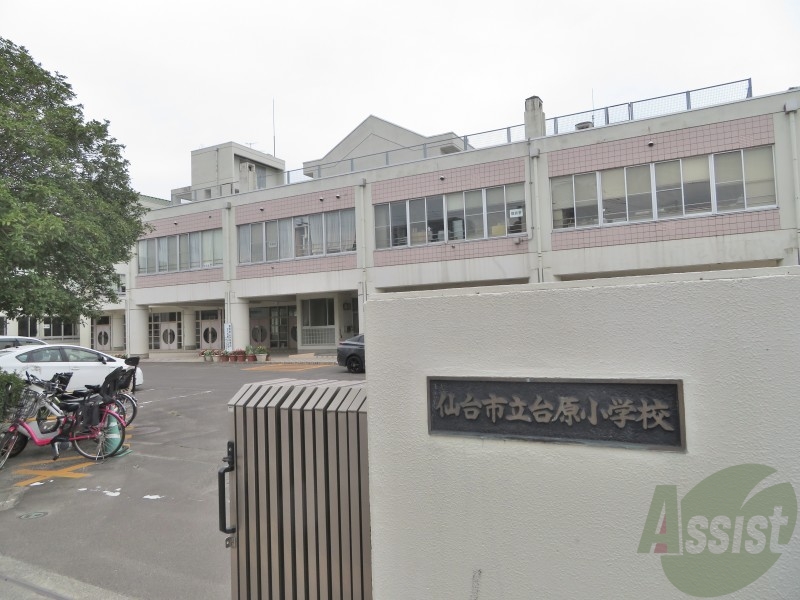 小学校　仙台市立台原小学校（小学校）まで479m